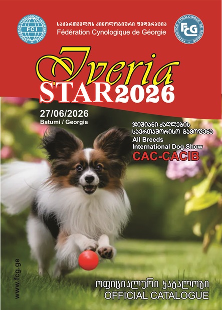 2026 Batumii 27062026