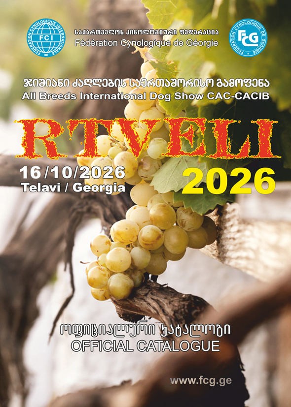 2026 01 Telavi1