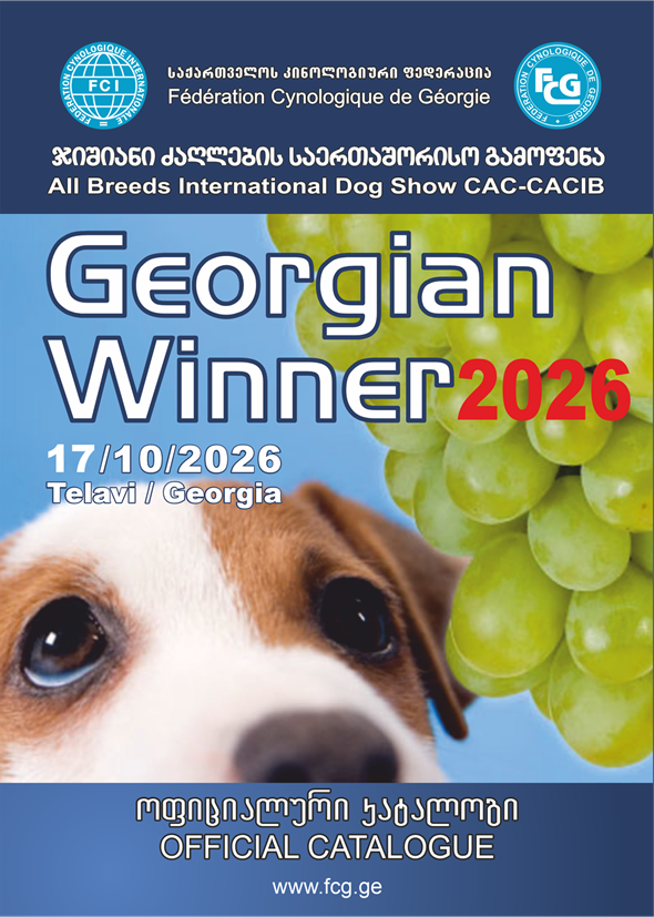 2026 02 Telavi2