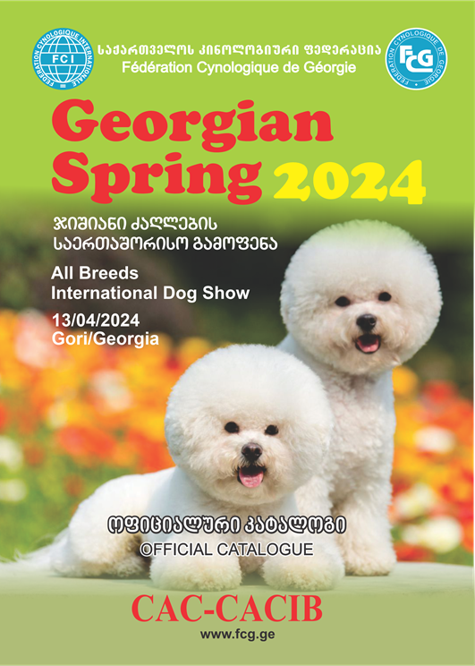 Gori 13.04.2024
