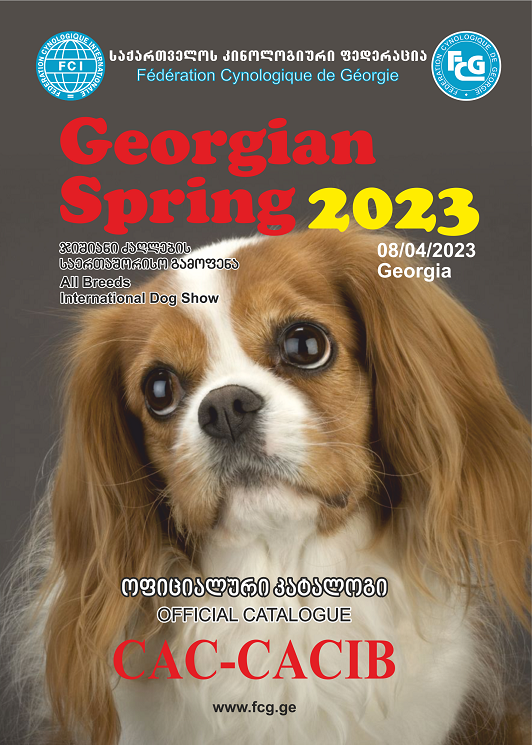 Kdebi Gori 2023 08 04